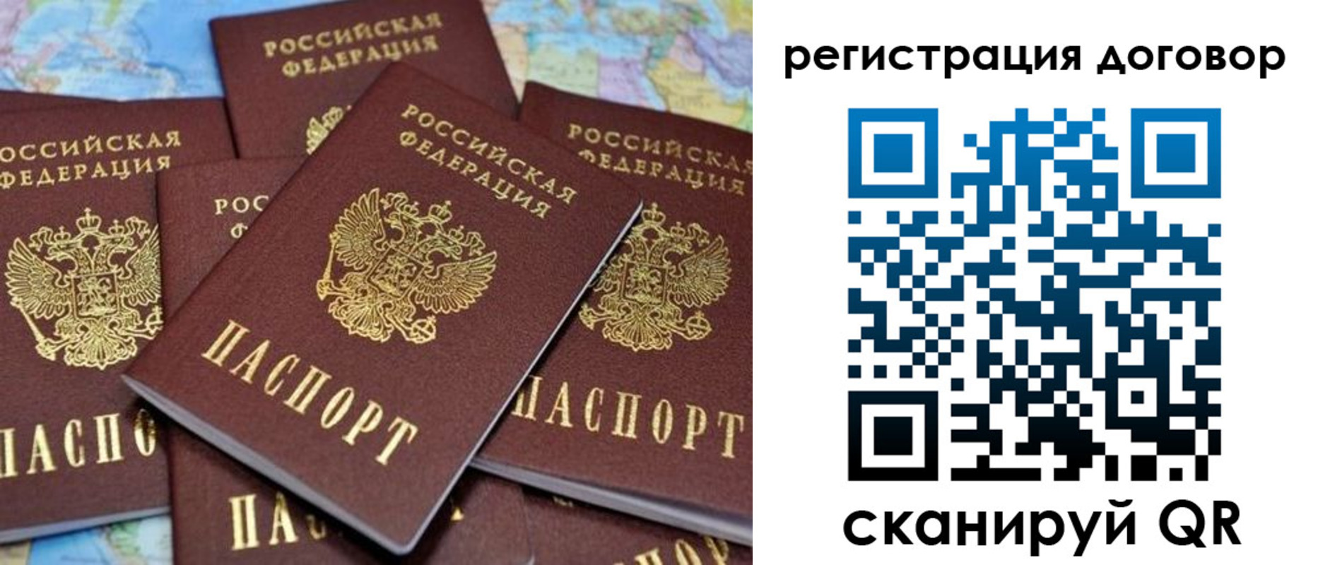 прописка гарантия в Цимлянске